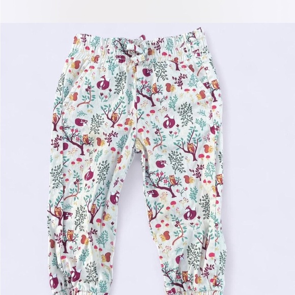 Garanimals Other - Garanimals Forest Animals Baby Pants